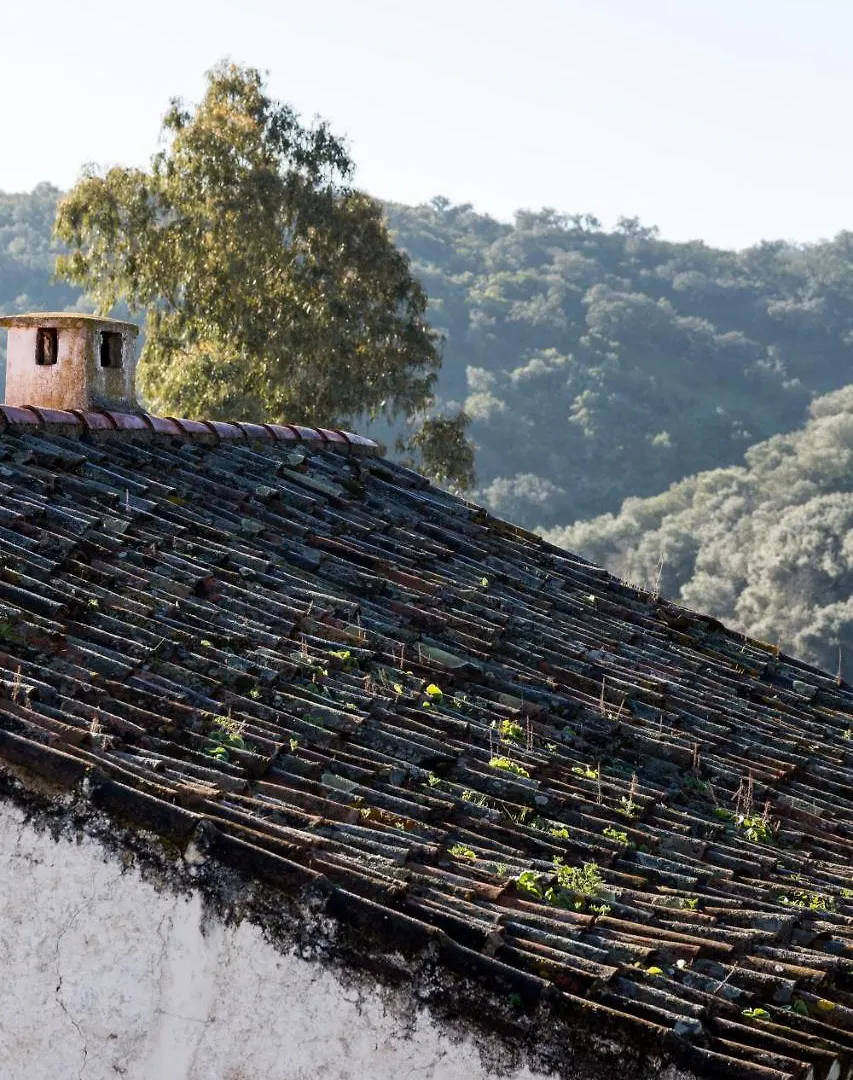 Casa De Los Olivos, Chimenea Con Horno 2 Hab 4 Pers Mas 1 Max Puerto de la Laja 0*,  Spain